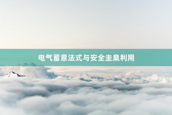 电气蓄意法式与安全圭臬利用