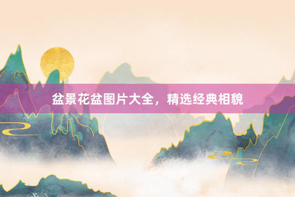 盆景花盆图片大全，精选经典相貌