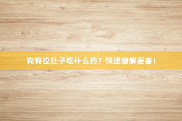 狗狗拉肚子吃什么药？快速缓解要害！