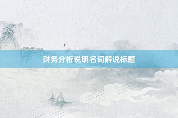 财务分析说明名词解说标题