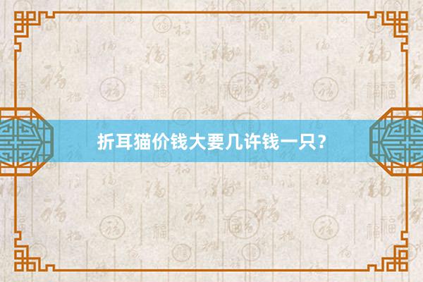 折耳猫价钱大要几许钱一只？